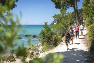 Top of the South Island Road Trip: Nelson, Abel Tasman and Marlborough Guide